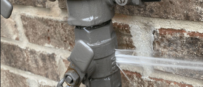 Backflow preventer